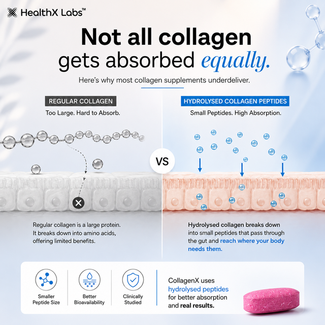 CollagenX