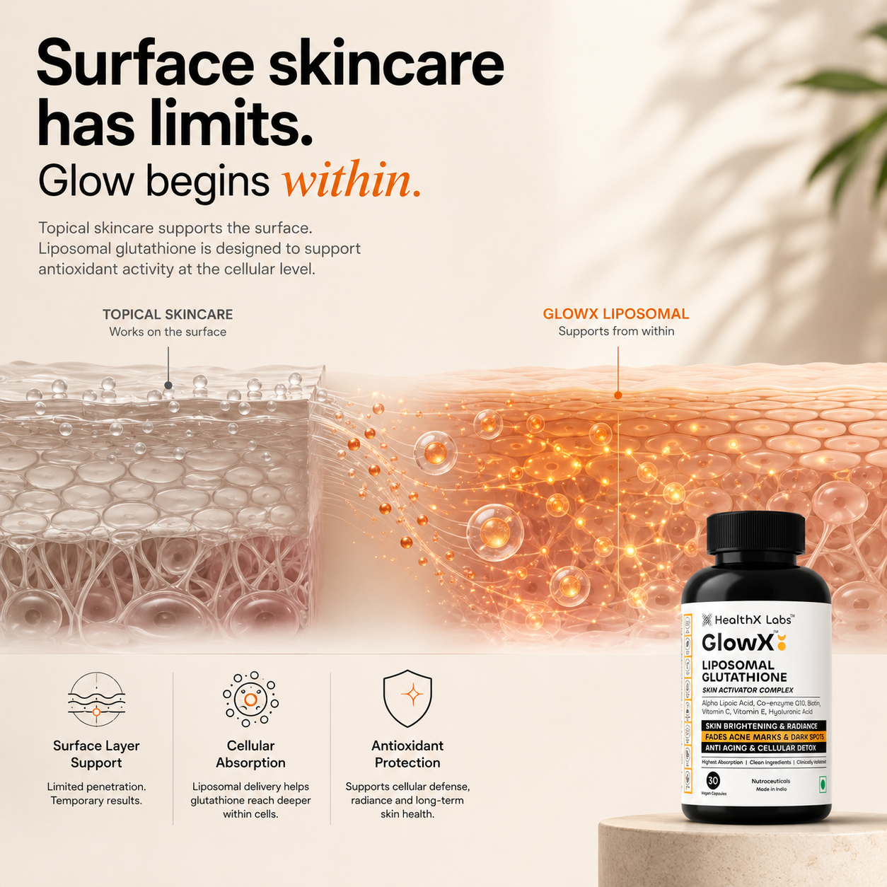 GlowX Liposomal Glutathione 250mg Skin Radiance Supplement | HealthX Labs GlowX Liposomal Glutathione 250mg Skin Radiance Supplement | HealthX Labs