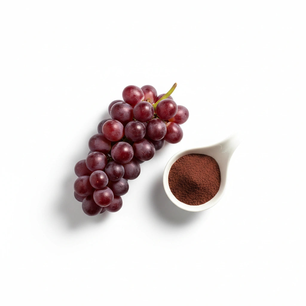 Grape Seed Extract (OPCs)