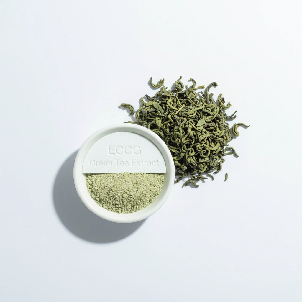 Green Tea Extract (EGCG)